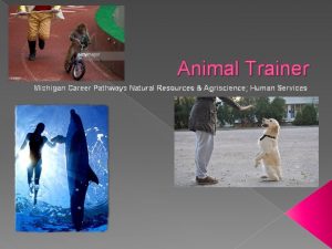 Animal Trainer Michigan Career Pathways Natural Resources Agriscience