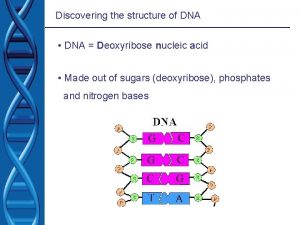 Discovering the structure of DNA DNA Deoxyribose nucleic