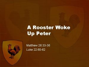 A Rooster Woke Up Peter Matthew 26 33
