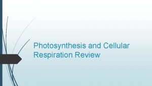 Photosynthesis and Cellular Respiration Review Photosynthesis Plants Chloroplast