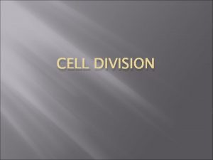 CELL DIVISION Cell Division What would happen if