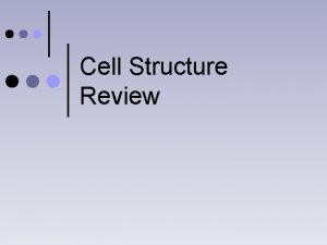 Cell Structure Review Eukaryotic Cells Have a nucleus