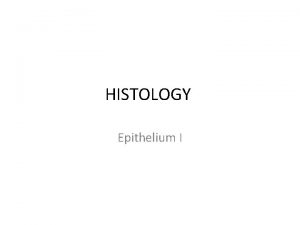 HISTOLOGY Epithelium I What is Histology Histology is