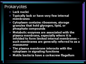 Prokaryotes Lack nuclei Typically lack or have very