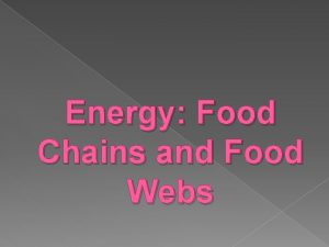 Energy Food Chains and Food Webs Standard and