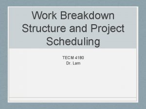 Work Breakdown Structure and Project Scheduling TECM 4180