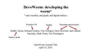 Devo Worm developing the worm and Ascidian and