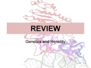 REVIEW Genetics and Heredity REVIEW MENDELIAN GENETICS Gregor