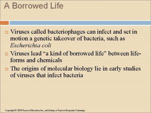 A Borrowed Life Viruses called bacteriophages can infect