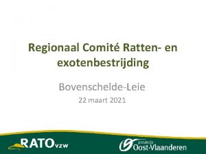 Regionaal Comit Ratten en exotenbestrijding BovenscheldeLeie 22 maart