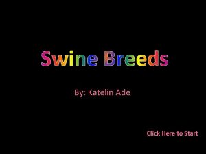 Swine Breeds By Katelin Ade Click Here to