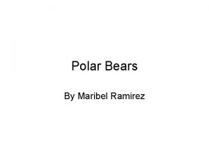 Polar Bears By Maribel Ramirez The polar bear