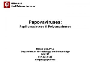 MEDX650 Host Defense Lectures Papovaviruses Papillomaviruses Polyomaviruses Haitao