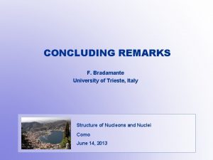 CONCLUDING REMARKS F Bradamante University of Trieste Italy