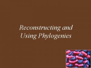 Reconstructing and Using Phylogenies Reconstructing and Using Phylogenies