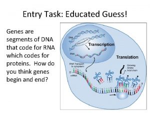 Entry Task Educated Guess Genes are segments of