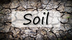 Soil What is soil Soil forms on earths