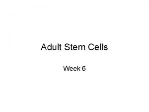 Adult Stem Cells Week 6 History of Adult