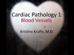 Cardiac Pathology 1 Blood Vessels Kristine Krafts M