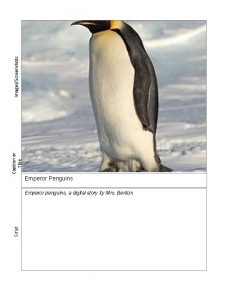 ImagesScreenshots Caption or Title Emperor Penguins Script Emperor