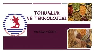 TOHUMLUK VE TEKNOLOJISI DR ERKAN ZATA Tohumluk Ekoloji