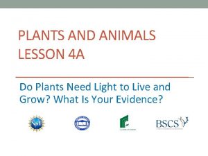 PLANTS AND ANIMALS LESSON 4 A Do Plants