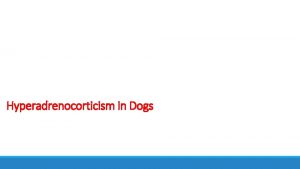 Hyperadrenocorticism in Dogs Hyperadrenocorticism HAC is caused by