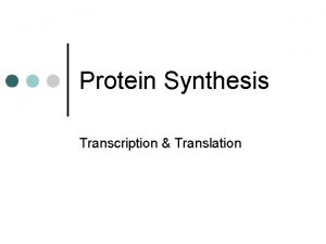 Protein Synthesis Transcription Translation Protein Synthesis An Overview