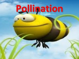 Pollination What is Pollination Pollination the transfer of