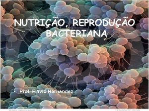 NUTRIO REPRODUO BACTERIANA Prof Flavio Hernandez NUTRIO Exigncia