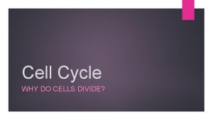 Cell Cycle WHY DO CELLS DIVIDE Reasons cells
