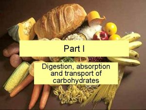 Part I Digestion absorption and transport of carbohydrates