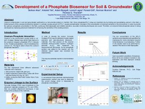 Development of a Phosphate Biosensor for Soil Groundwater