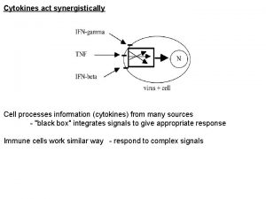 Cytokines act synergistically Cell processes information cytokines from