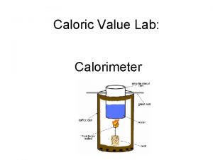 Caloric Value Lab Calorimeter Samples Sample Pork Rind