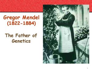 Gregor Mendel 1822 1884 The Father of Genetics