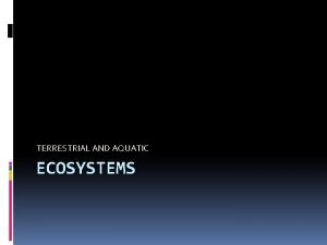 TERRESTRIAL AND AQUATIC ECOSYSTEMS Terrestrial Ecosystems Organisms can