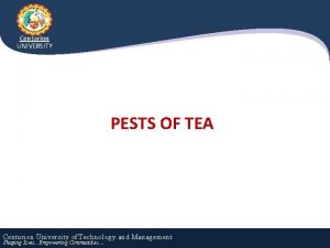 Centurion UNIVERSITY PESTS OF TEA Centurion University of