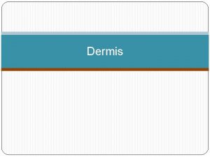 Dermis Layers of the Dermis Papillary Layer Reticular