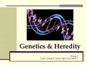 Genetics Heredity Biology I Turner College Career High