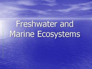 Freshwater and Marine Ecosystems Freshwater Ecosystems Includes lakes