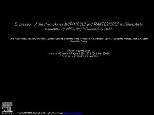 Expression of the chemokines MCP1CCL 2 and RANTESCCL