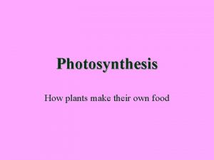 Photosynthesis How plants make their own food Aidhm
