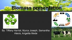 Biomass presentation By Tiffany Harriot Myrca Joseph Samantha