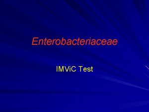 Enterobacteriaceae IMVi C Test IMVi C Test Indole