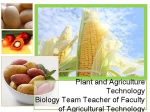 Plant and Agriculture Technology Biology Team Teacher of