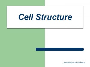 Cell Structure www assignmentpoint com COMMON CELL TRAITS