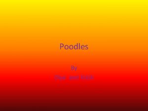 Poodles By Diya and Krish Table of Contents