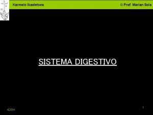 Karmelo Ikastetxea Prof Marian Sola SISTEMA DIGESTIVO 4