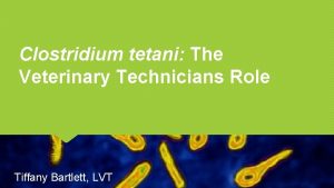 Clostridium tetani The Veterinary Technicians Role Tiffany Bartlett